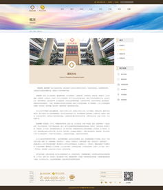 构建以患者为中心的医院网站 网页与网站设计的核心原则