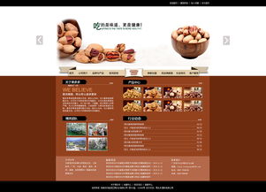 网站与网页设计 构建数字世界的艺术与科学